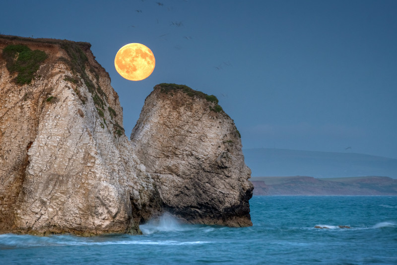 z2940 Freshwater Bay Moonrise - Freshwater Bay to Colwell Bay inc the Needles