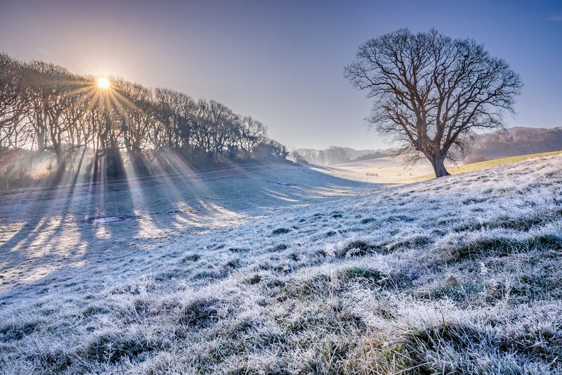 z4357 A Frosty Spring Morning Godshill - The Inner Island inc Newport & Godshill
