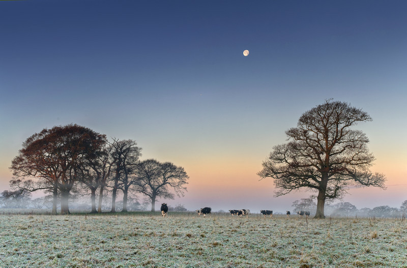 z2153 Frosty Dawn, Nunwell - East Cowes to Ryde inc Haventstreet, Ashey, Wooton & Binstead