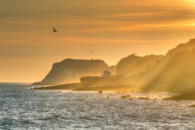 z3391 Late afternoon Sunlight over Steephill Cove - Ventnor to St Catherine's inc Bonchurch, Whitwell & the Undercliff