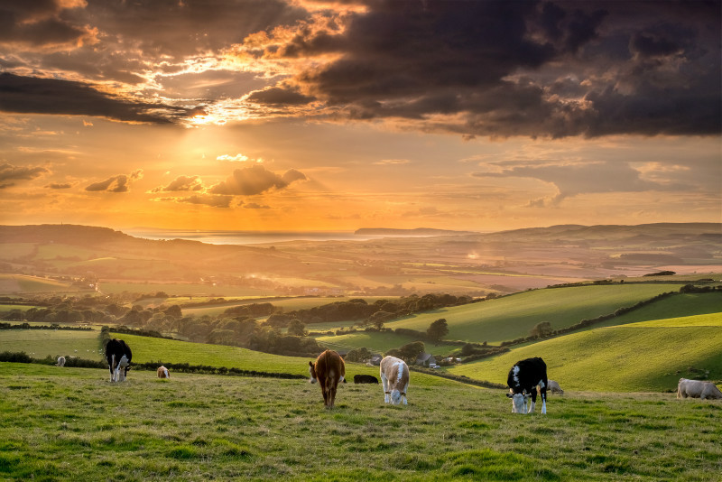z2790 View from Wroxall Down and beyond - The Inner Island inc Newport & Godshill