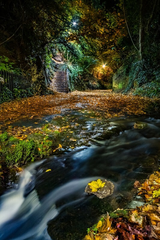 z4128 Shanklin Chine Stream at Night - Sandown, Shanklin, Luccombe and Wroxall