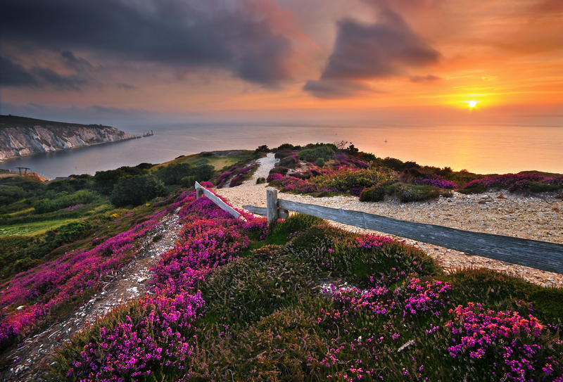 z1394 Sunset, Headon Warren - Freshwater Bay to Colwell Bay inc the Needles