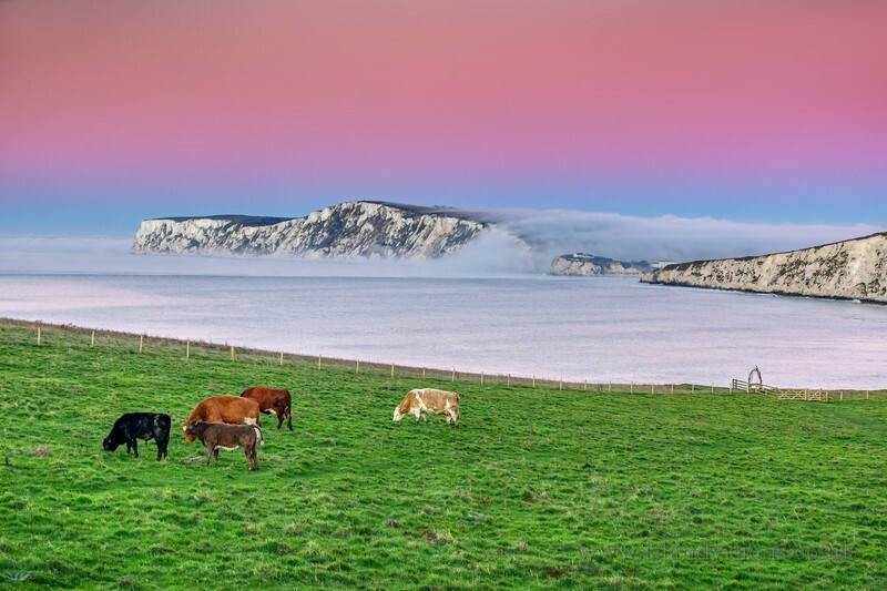 z3990 Flowing Fog at Dawn, Compton Bay - Blackgang to Compton inc Brighstone, Shorwell & West Wight