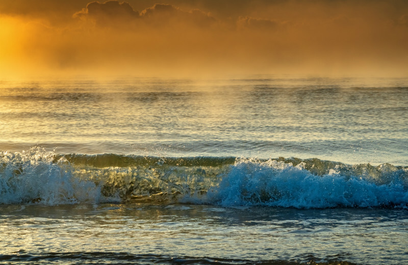 z3687 Misty Waves, Sandown - The