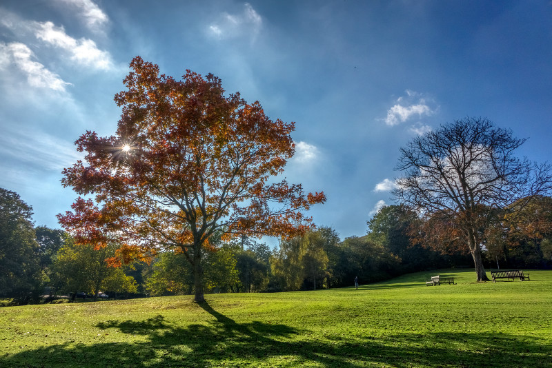 z2826 Autumn Light, Shanklin Big Mead - Sandown, Shanklin, Luccombe and Wroxall