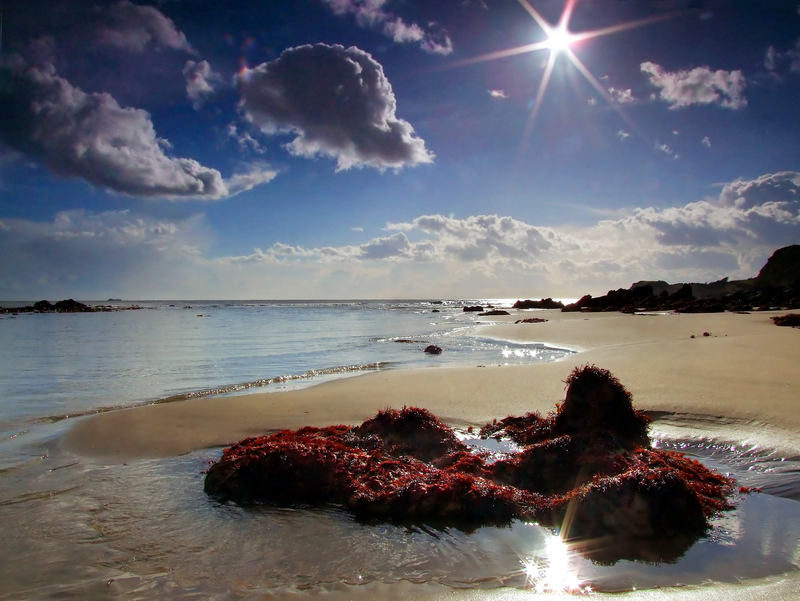 916 Steephill Cove - Ventnor to St Catherine's inc Bonchurch, Whitwell & the Undercliff