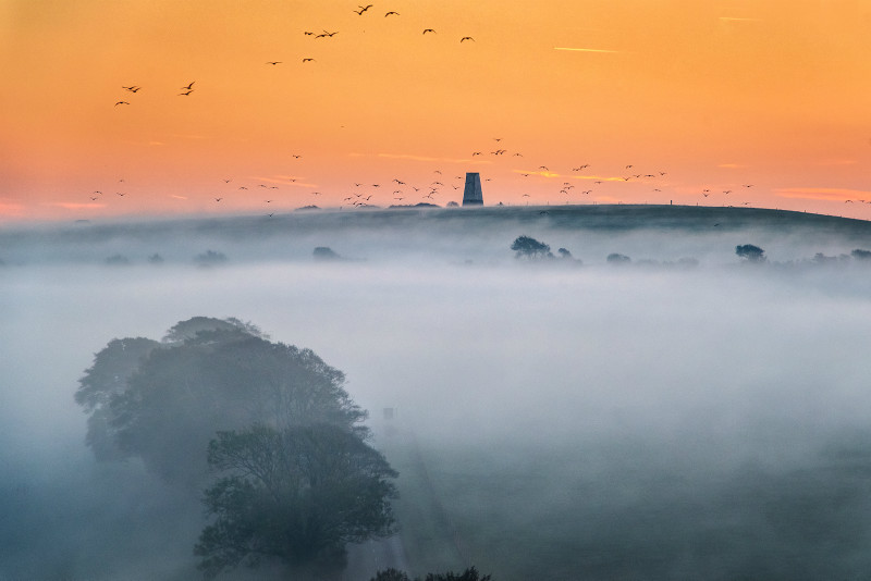 z3308 Yearly Migration over the Morning Fog Ashey Down - East Cowes to Ryde inc Haventstreet, Ashey, Wooton & Binstead