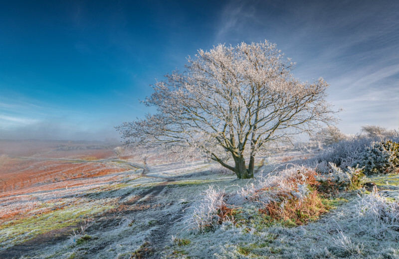 z3727 Crisp Winter Ice, Ventnor Down - Ventnor to St Catherine's inc Bonchurch, Whitwell & the Undercliff