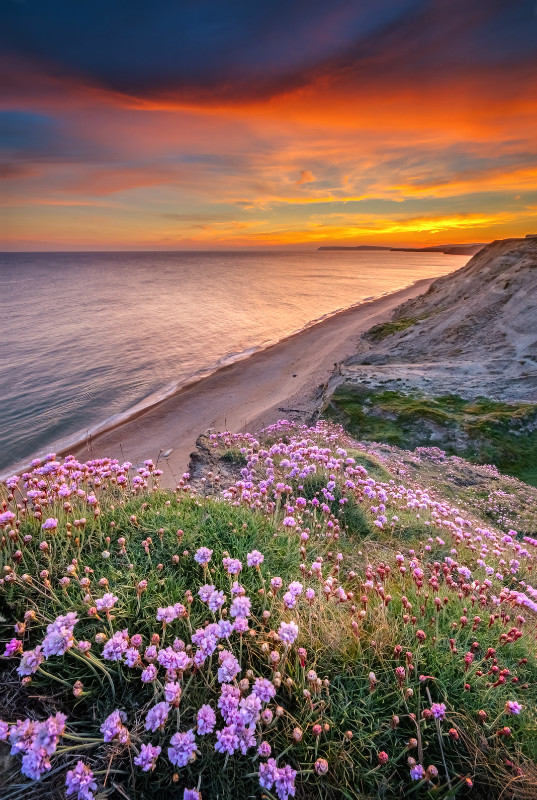 z3425 Summery Sunset, Shepherds Chine - Blackgang to Compton inc Brighstone, Shorwell & West Wight