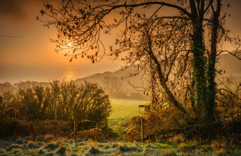z3704 Warm Light on a Cold Morning, Luccombe - Sandown, Shanklin, Luccombe and Wroxall