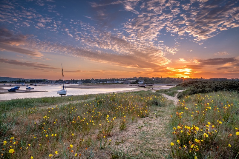 z2738 Summer Sunset, Bembridge Harbour - Seaview to Bembridge, Whitecliff Bay and Brading