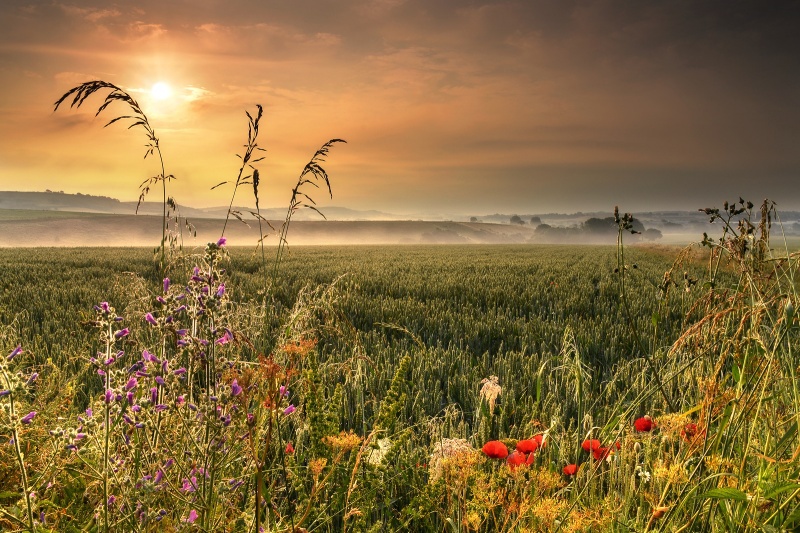 z2210 Morning Mist, Arreton - The Inner Island inc Newport & Godshill