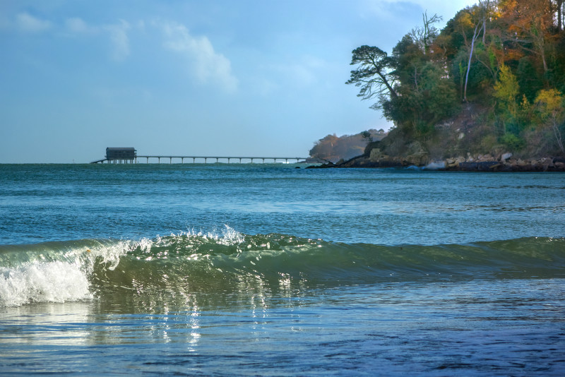 z2840 Autumnal View from Priory Bay and Beyond - The