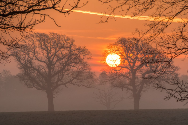 z3358 Misty Sunrise, Ashey - East Cowes to Ryde inc Haventstreet, Ashey, Wooton & Binstead