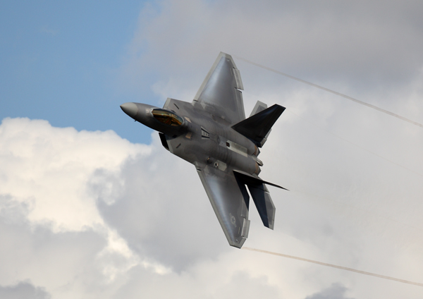 Raptor - Aviation