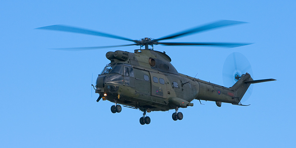 Puma - Aviation