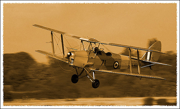 Tiger Moth ( Sepia ) - Miscellaneous