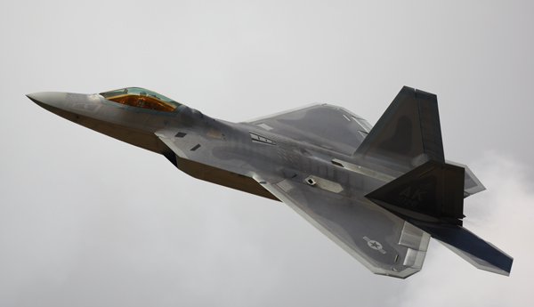 Raptor - Aviation