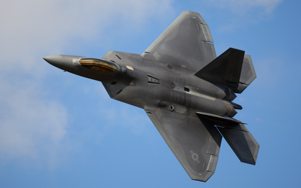 Raptor - Aviation