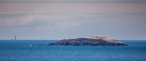 Grassholm Island - Travel & Landscapes