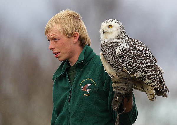 The Falconer & the Owl - People