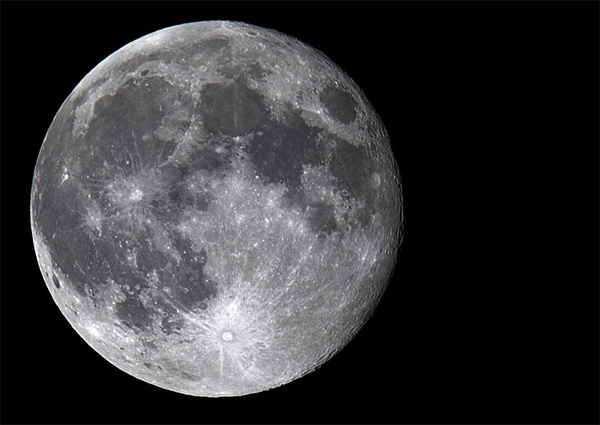 Moon - Nature & Animals