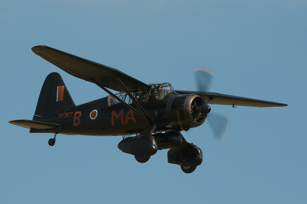 Lizzy - Aviation