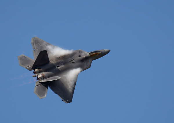 Raptor - Aviation