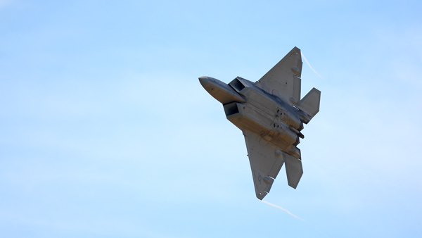 Raptor - Aviation