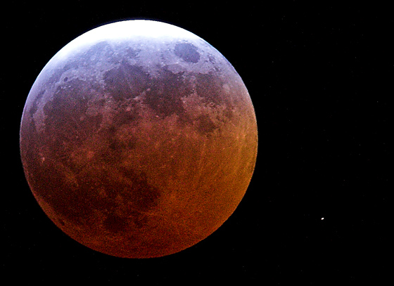 Lunar Eclipse - Nature & Animals