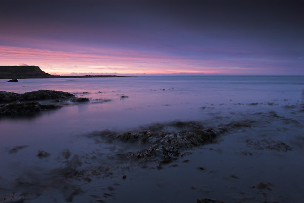 Purple, Berwick - Northumberland