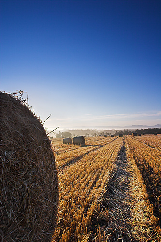 Bale. Lanarkshire, Scotland - UK Scenery