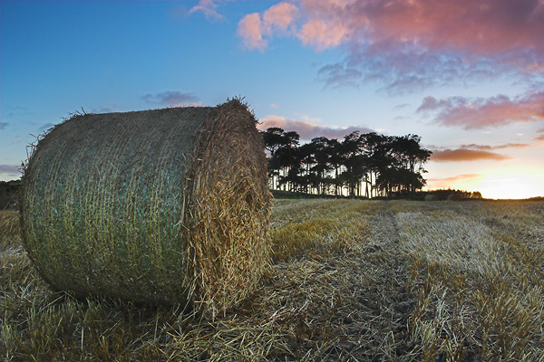 Delight - UK Scenery