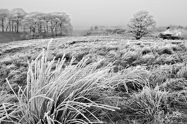 Christmas Day Morning. Haywood, Scotland - UK Scenery