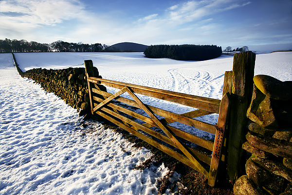 Borders View - UK Scenery