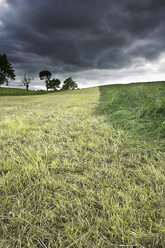 Fresh Cut - UK Scenery