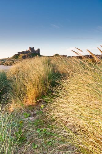 Path to...., Bamburgh Castle - Northumberland