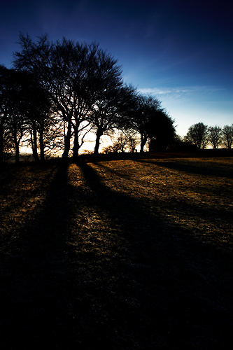 Winters Light - UK Scenery