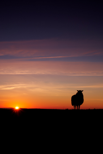Winters Sunset - UK Scenery