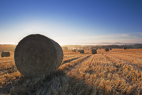 October Bale - UK Scenery