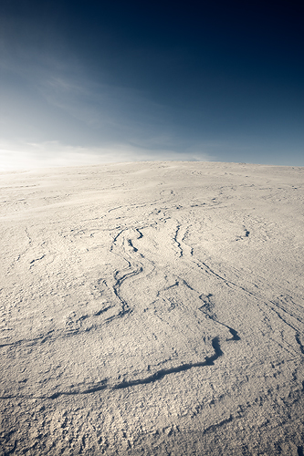 Snowscape - UK Scenery