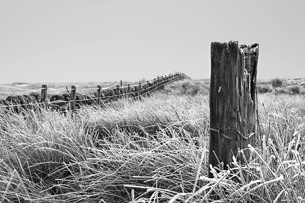 Frozen Post. Haywood, Scotland - UK Scenery