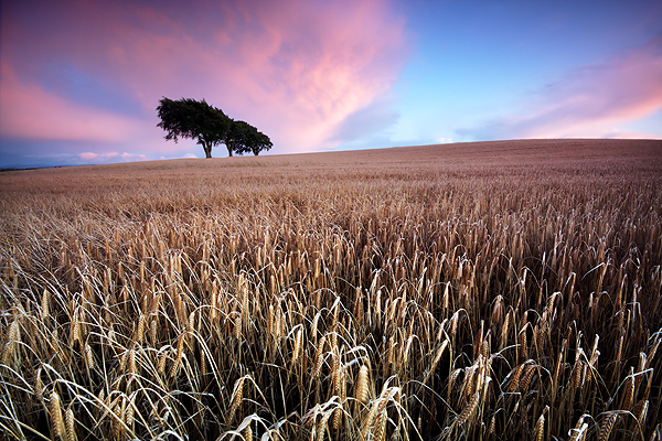 Three's A Crowd - UK Scenery