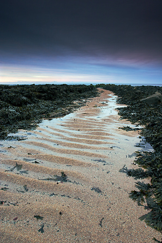 Path to the Sea, Berwick - Northumberland