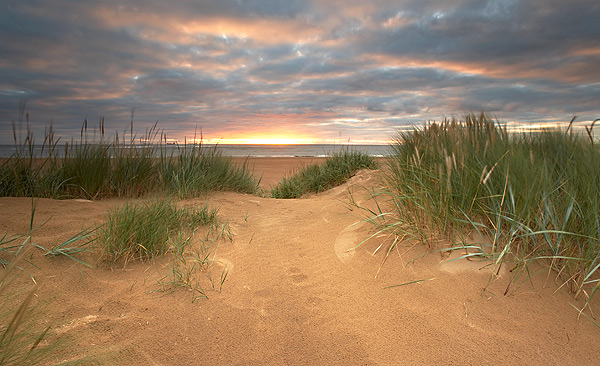 South Gare Dunes - Landscapes