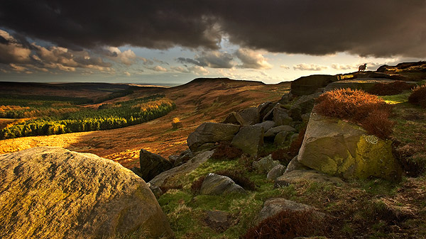 The Visitor - Landscapes