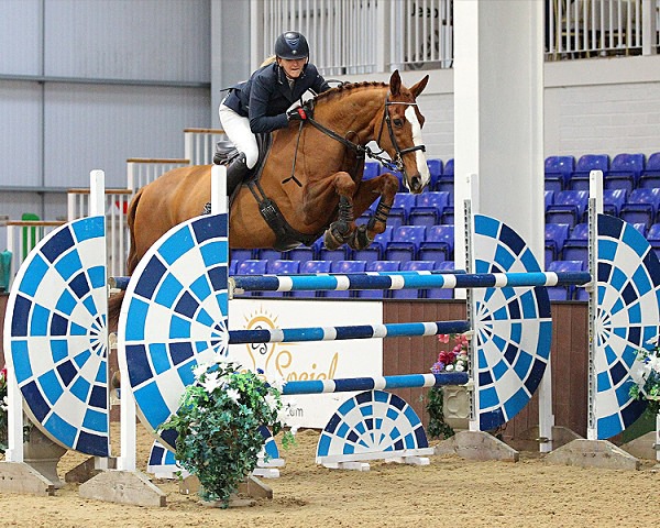 Home 06 - EQUESTRIAN - SLIDESHOW IMAGES