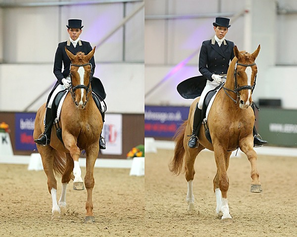 Home 18 - EQUESTRIAN - SLIDESHOW IMAGES