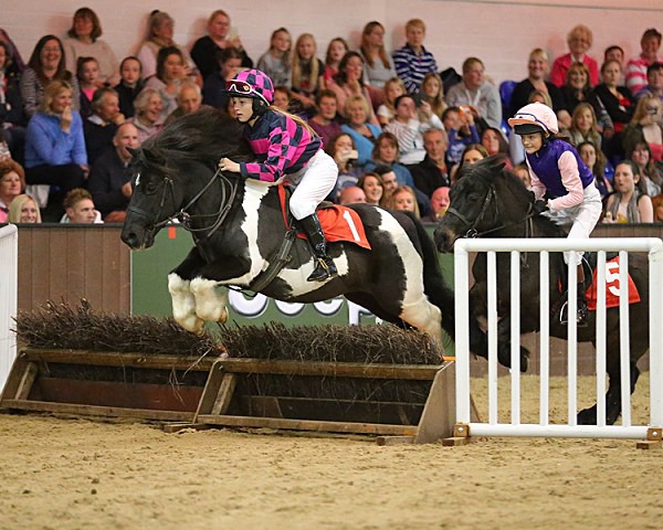 Home 03 - EQUESTRIAN - SLIDESHOW IMAGES